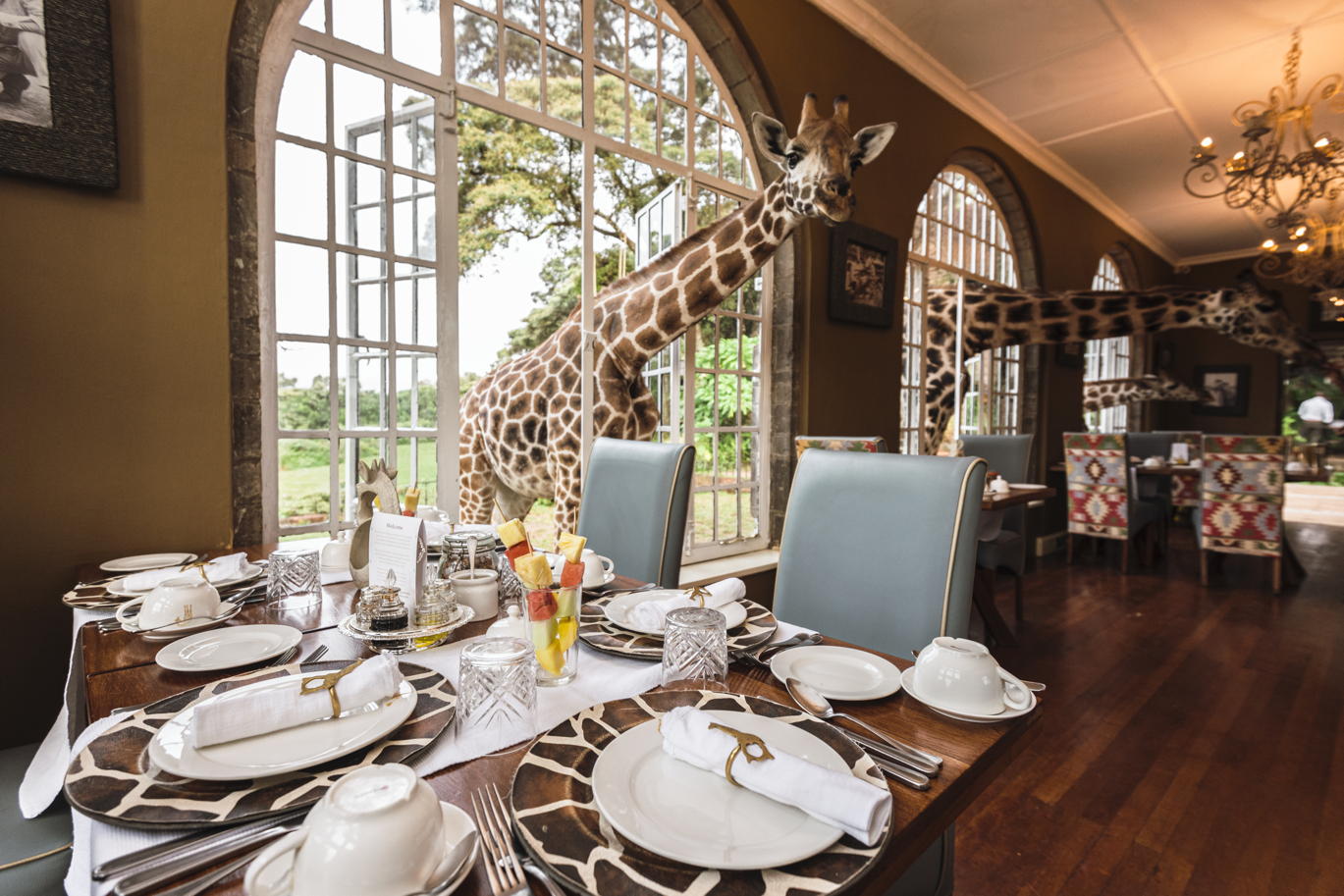 The Ultimate Bucket List Experience: Nairobi’s Giraffe Manor