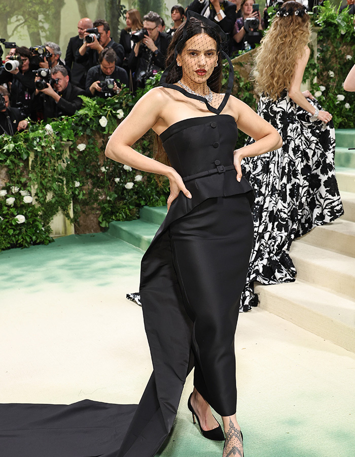 The Chicest Looks From The 2024 MET Gala