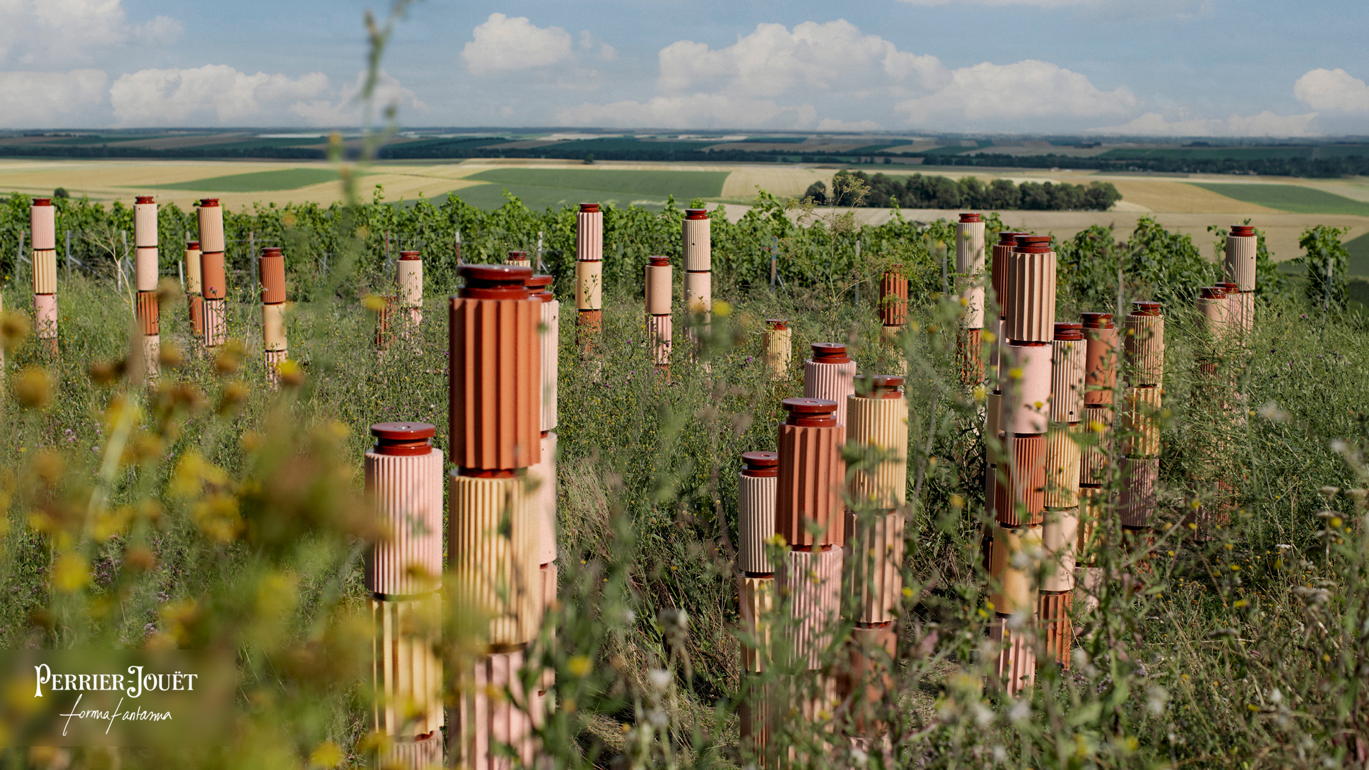 Perrier-Jouët Unveils Innovative Biodiversity Project Cohabitaire In Champagne With Formafantasma