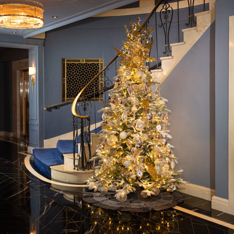Top Destinations To Celebrate the Holidays in Boston