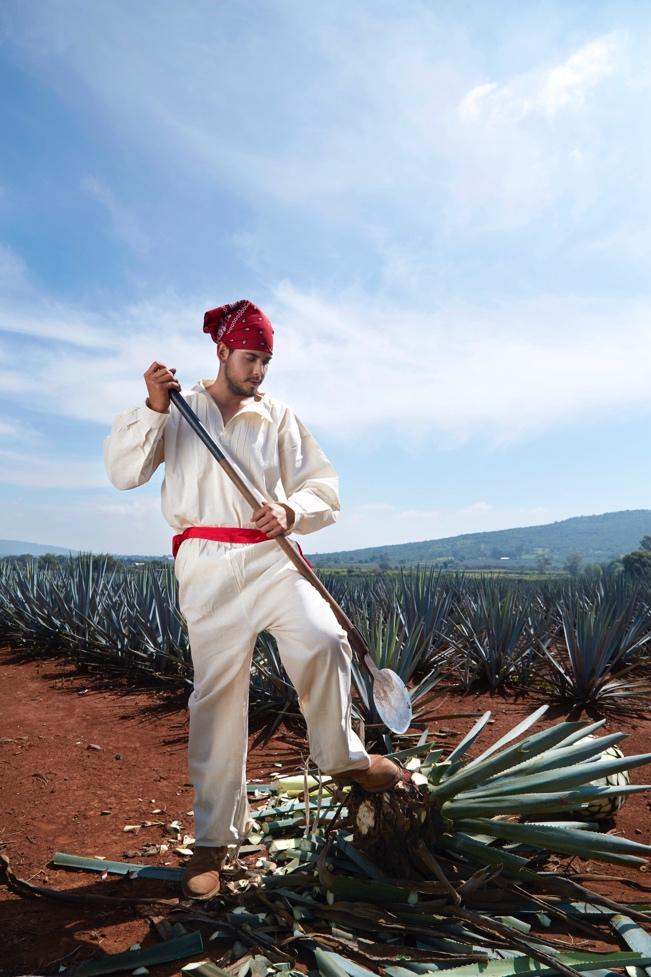 Where Tradition Meets Luxury: Mr. Sancho Pancho Tequila’s Remarkable Rise