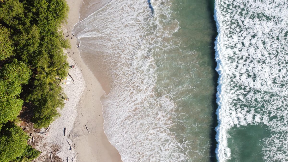 A Hidden Tropical Paradise: Inside Santa Teresa, Costa Rica