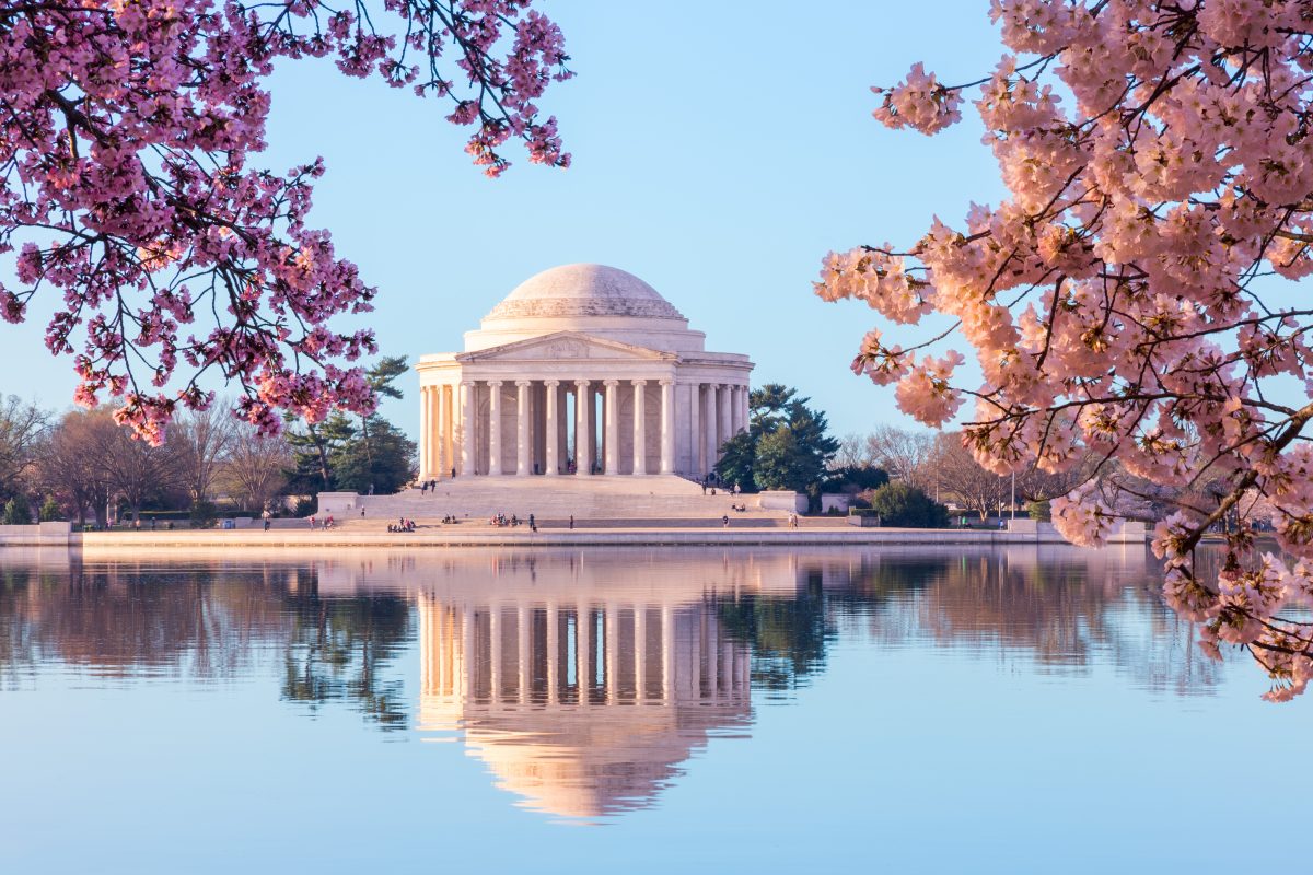 The Top Sakura Hospitality Experiences That Are Taking Over DC  During Cherry Blossom Season