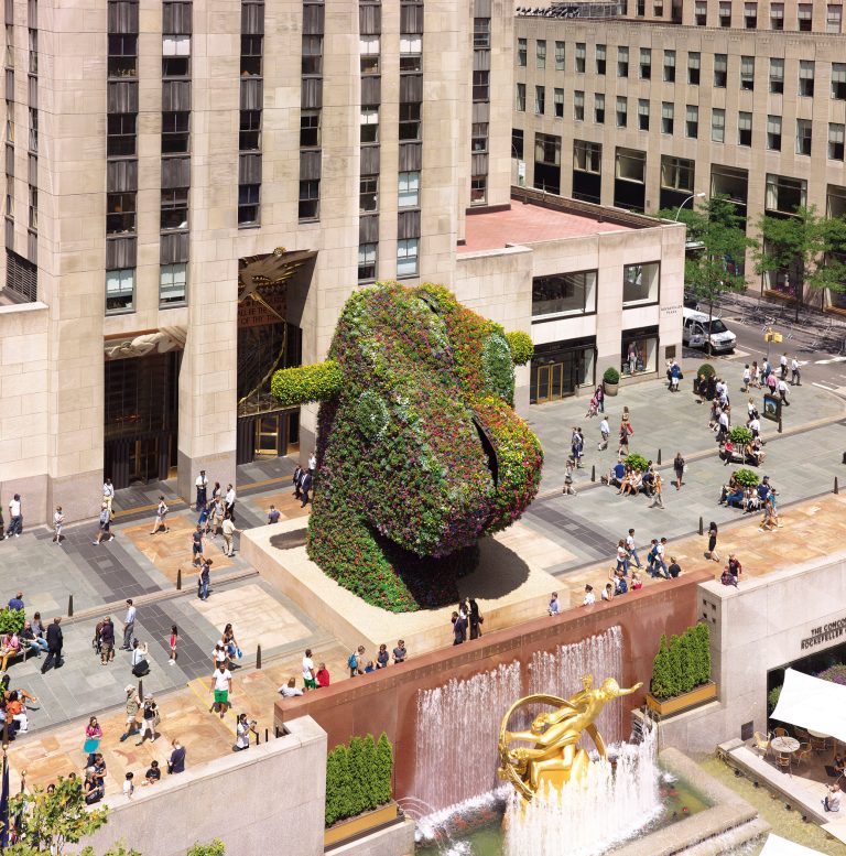 LACMA Is Getting a Giant Jeff Koons Floral Sculpture — and It’ll Bloom Year-Round