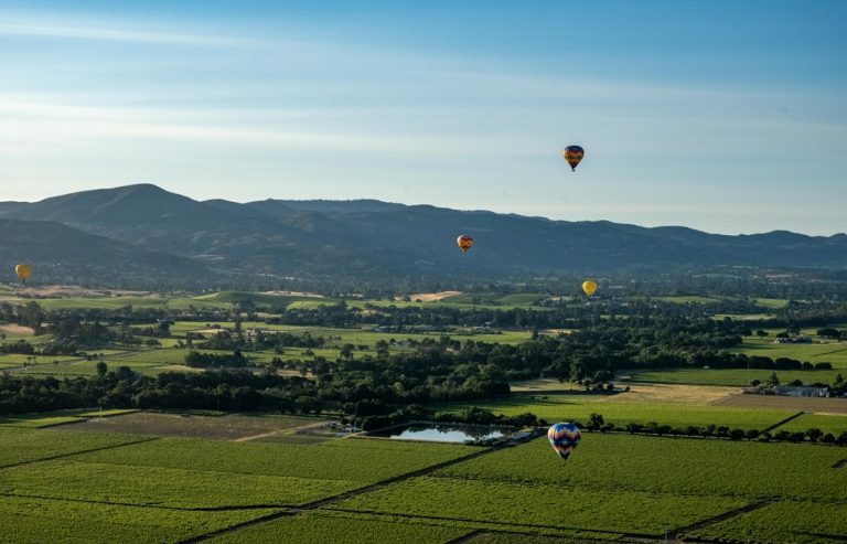 Stars, Stripes & Sauvignon: A Summer Guide to July in Napa Valley