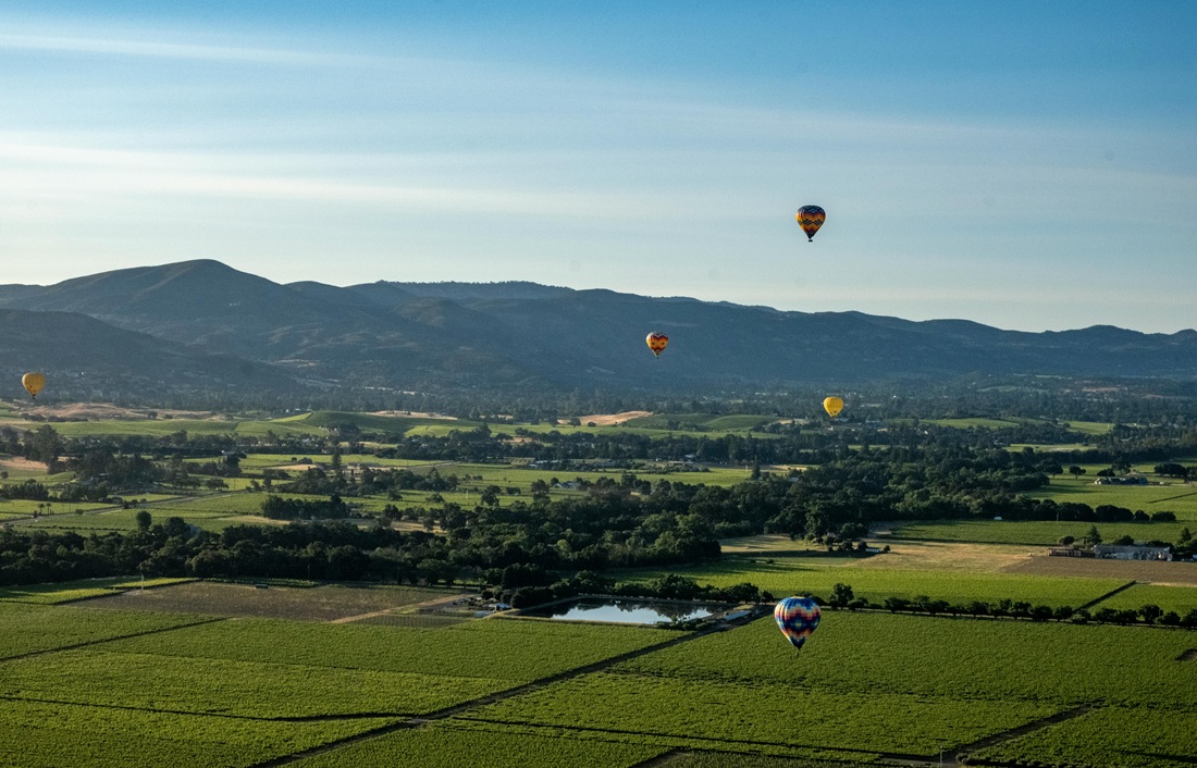 Stars, Stripes & Sauvignon: A Summer Guide to July in Napa Valley