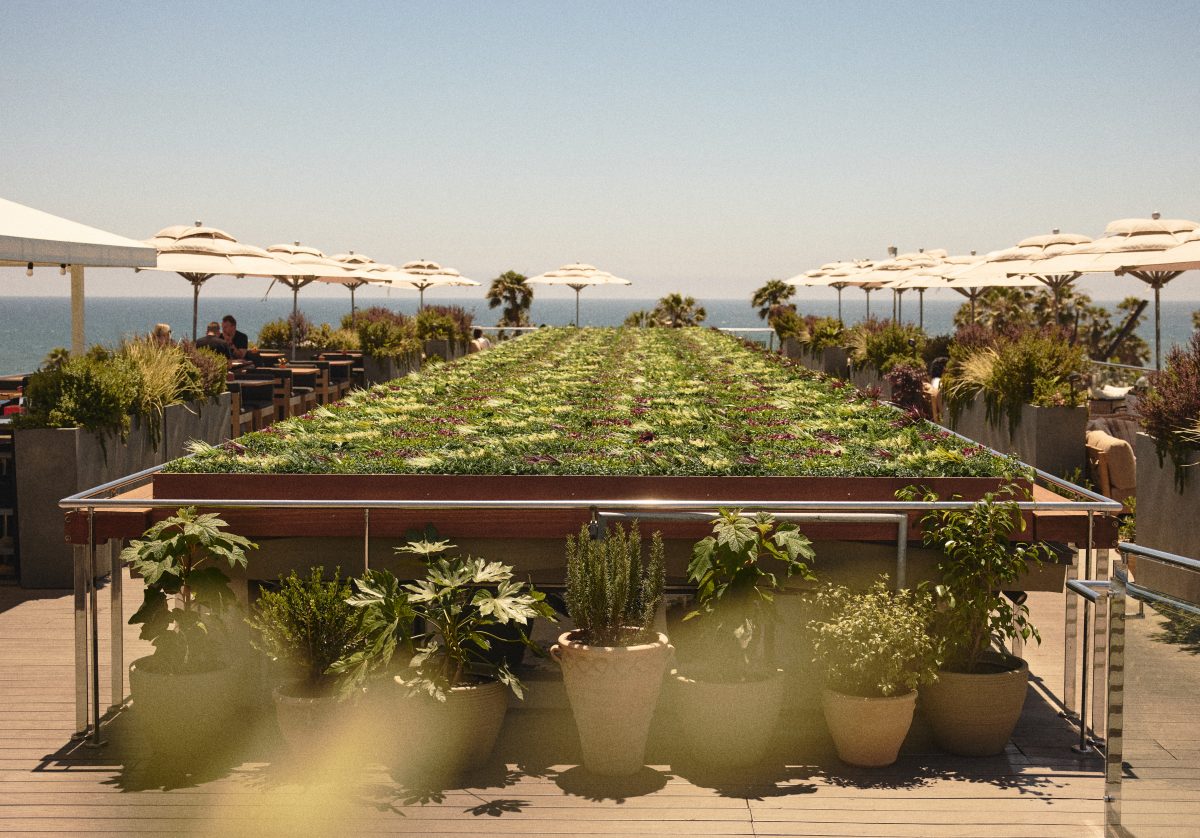 Top Beachfront Restaurants from Hermosa to Santa Monica Worth Booking Now