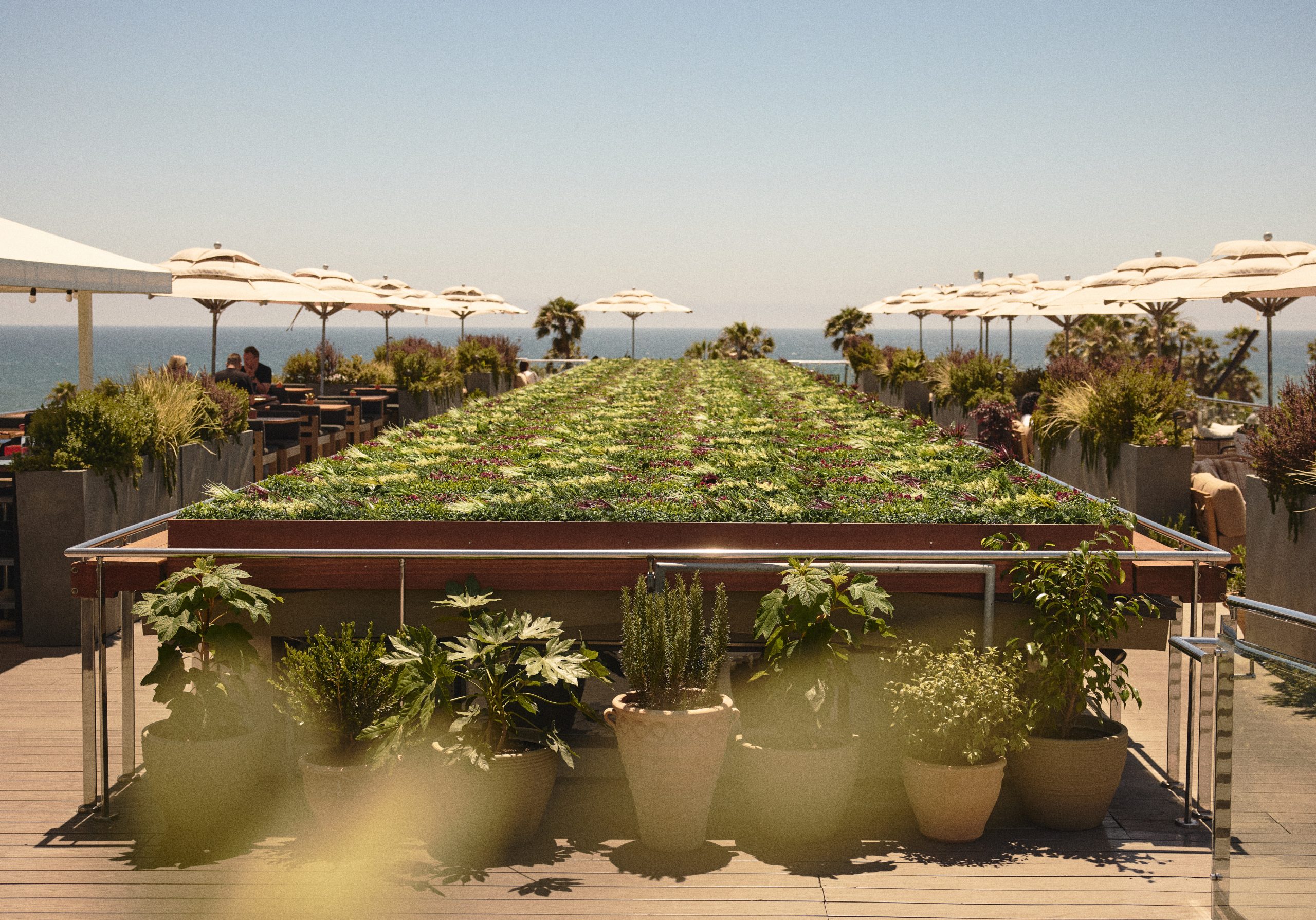 Top Beachfront Restaurants from Hermosa to Santa Monica Worth Booking Now