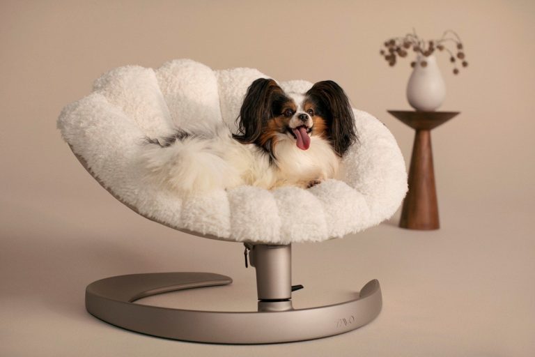 The Ultimate Pet Beds for Dogs Who Live as Well as You Do