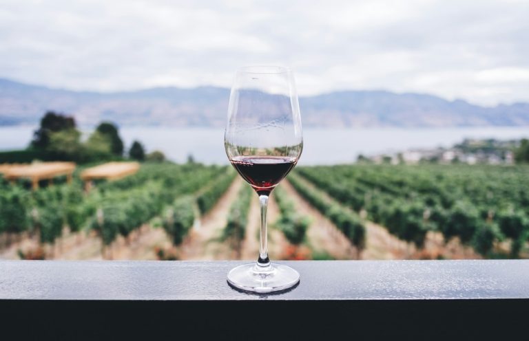 Sip and Savor: Our Favorite Wineries Just Minutes from White House Napa