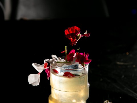 Rome Takes a Detour Down Columbia Road at Freni e Frizioni