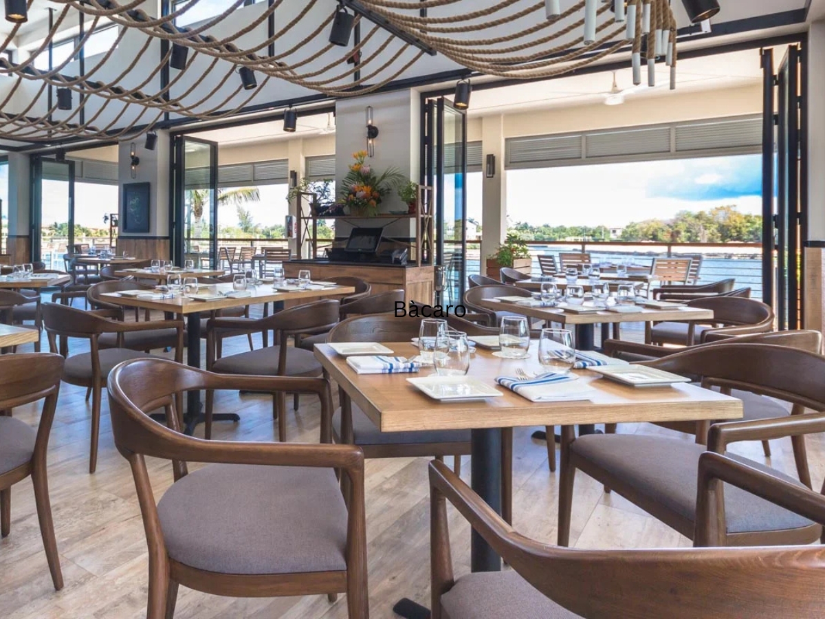 Where to Stay: The Ultimate Travel Guide to Grand Cayman