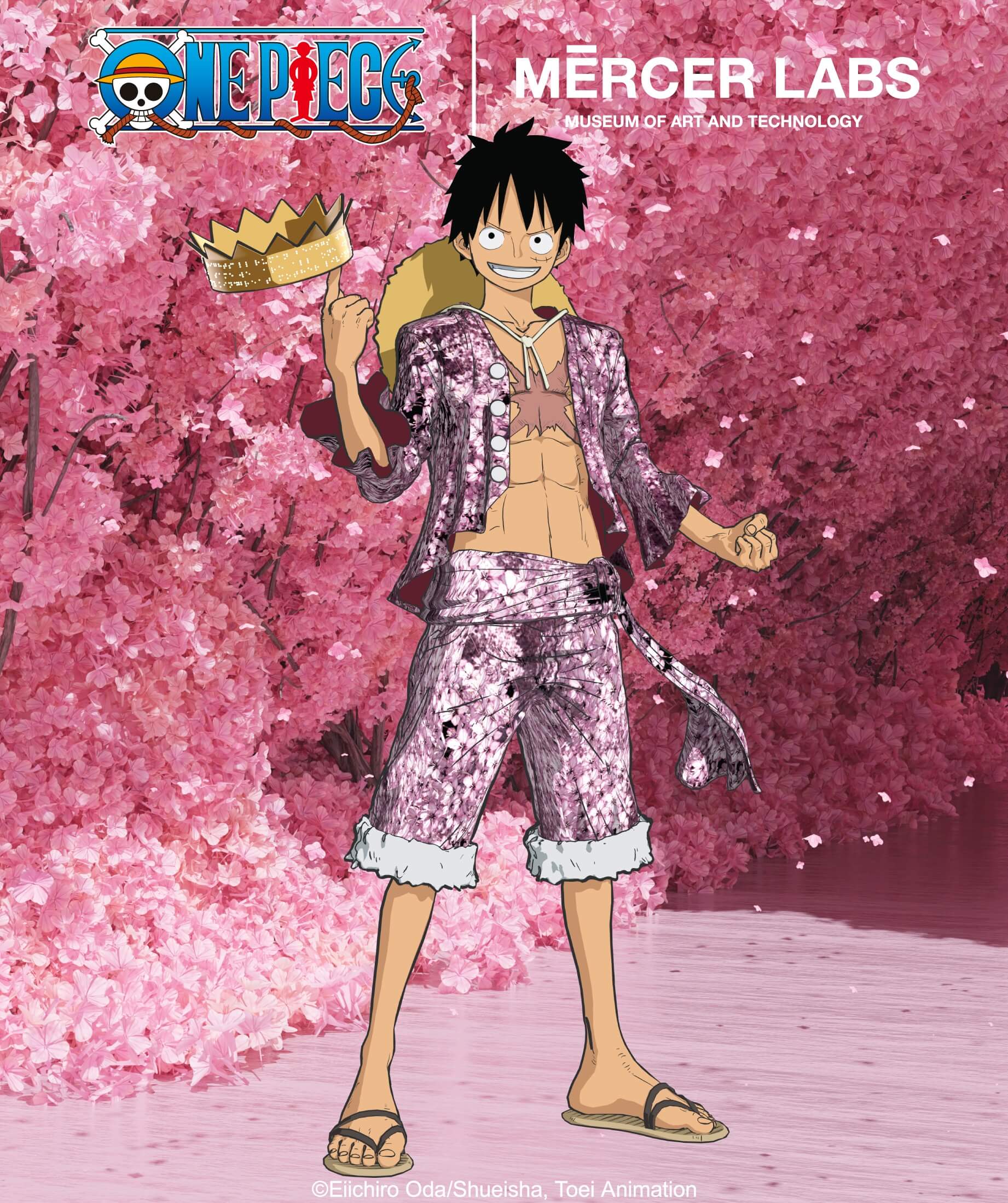 ONE PIECE x Mercer Labs: How Nasir Dean Brought Anime, Art, and Immersive Tech Together