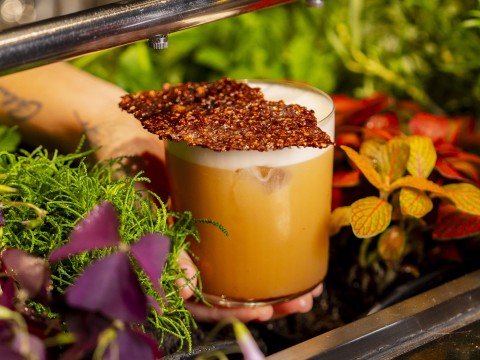 Need a Reset? Start Upstream at Madrid’s Wildest Bar, Salmon Guru