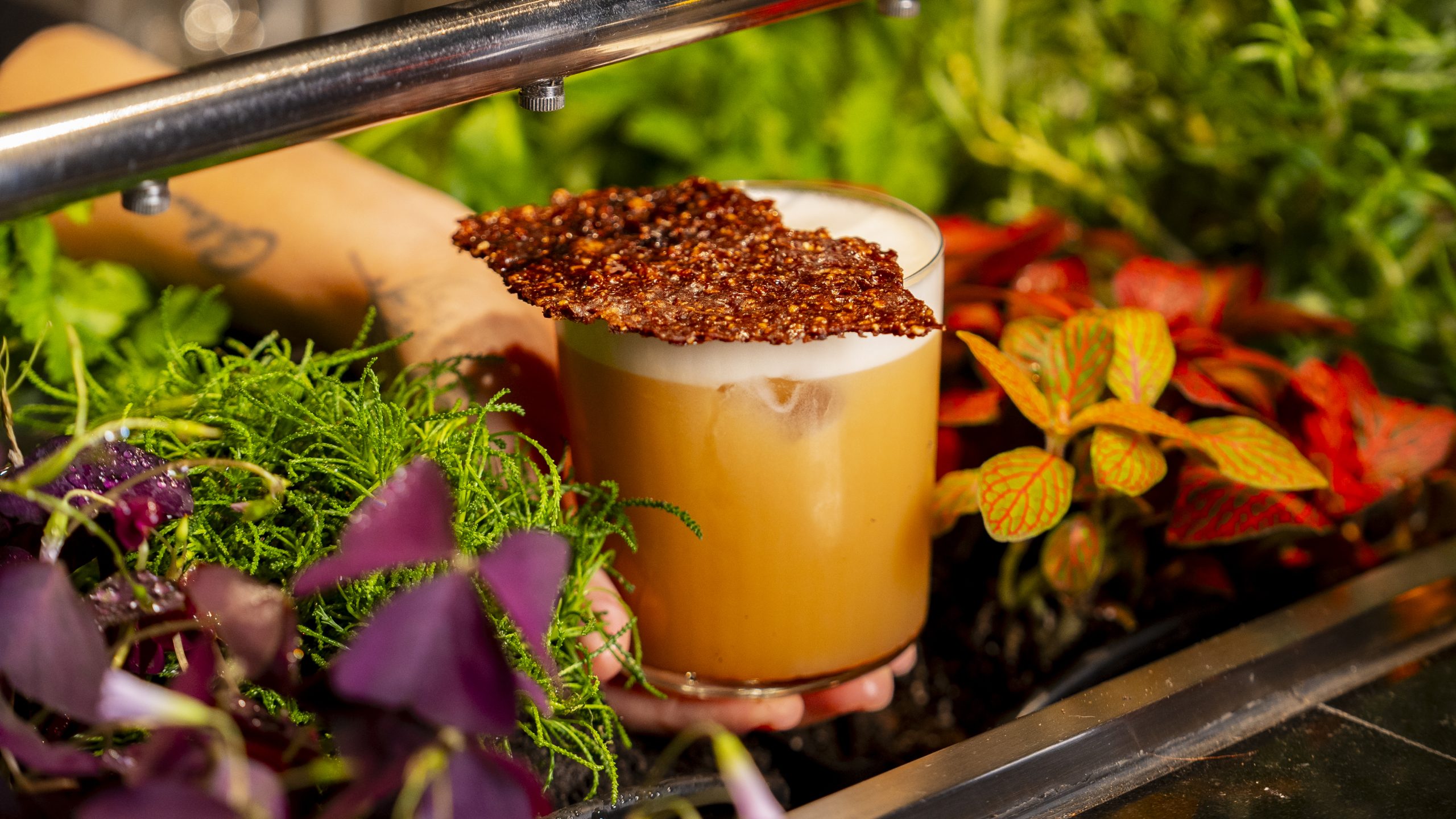 Need a Reset? Start Upstream at Madrid’s Wildest Bar, Salmon Guru