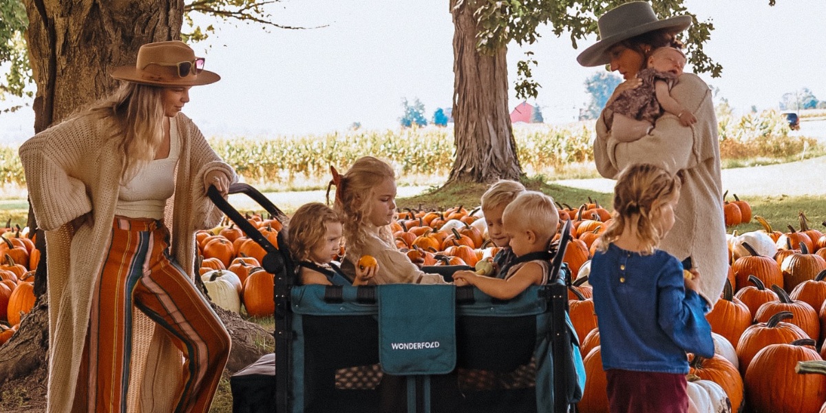 WonderFold stroller wagon