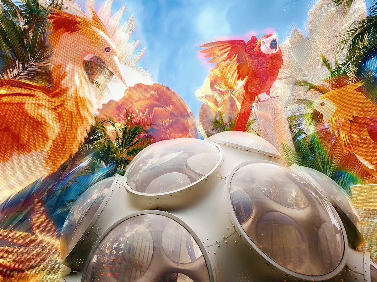 The Miami Design District & EDGLRD Reimagine a New Creative Future