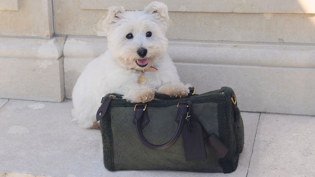 Louis Vuitton Introduces a New Era of Luxury Pet Accessories