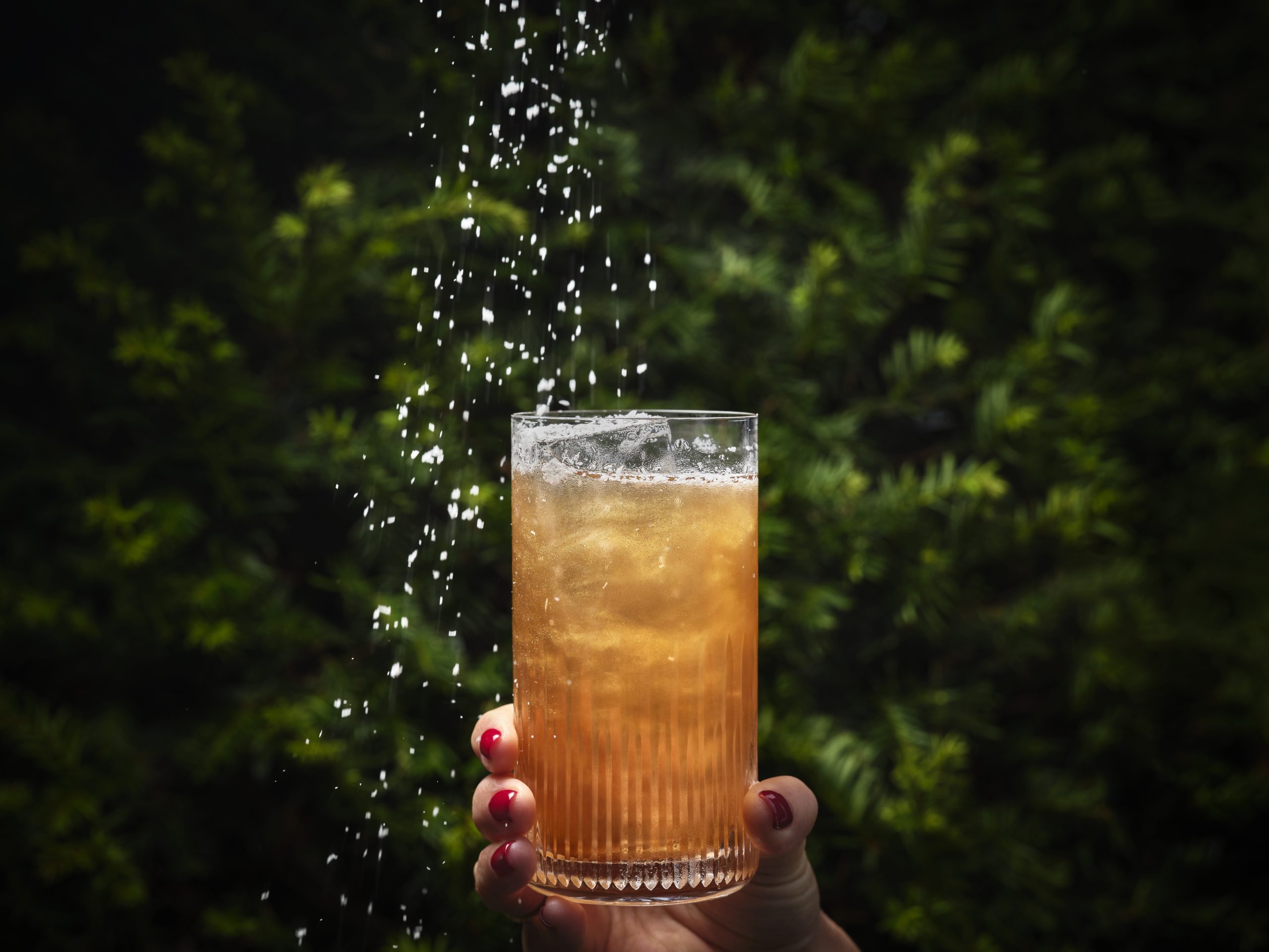 Bar Les Ambassadeurs