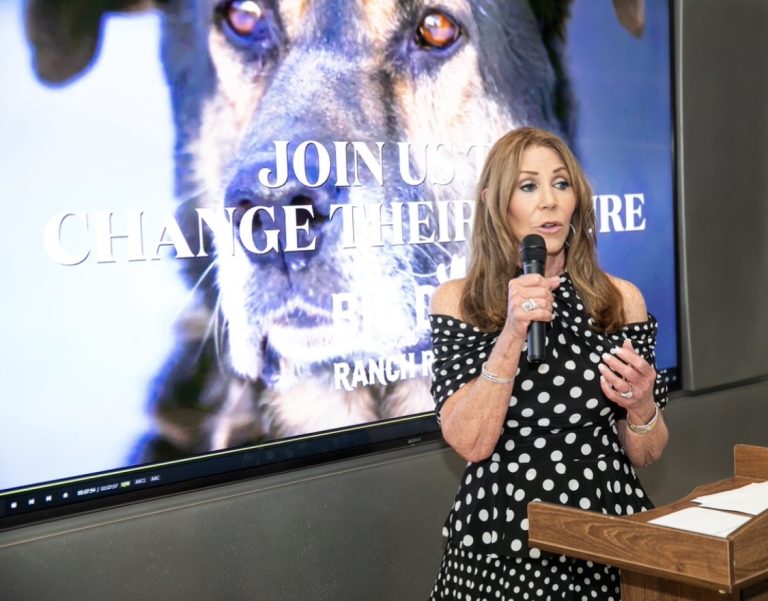 An Evening of Compassion at Four Seasons Surfside Supporting Big Dog Ranch Rescue