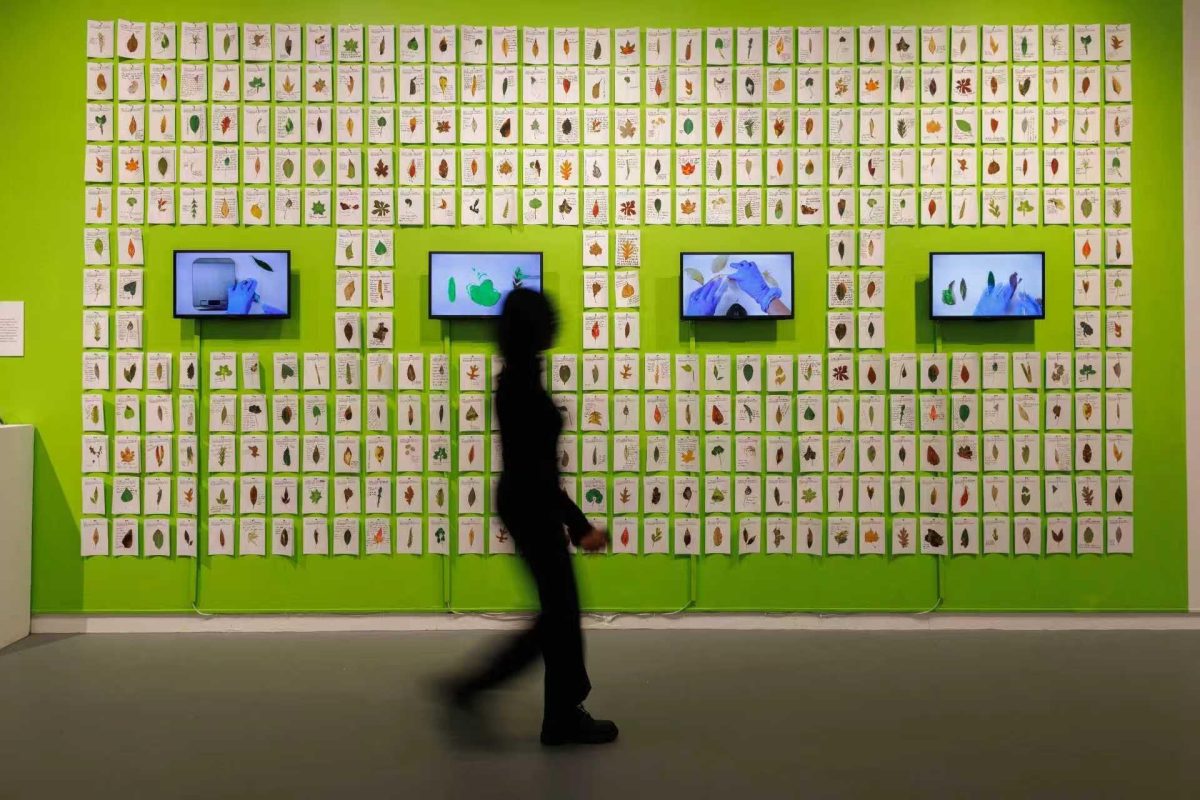 Design in Dialogue: Ying Han’s Approach to Design