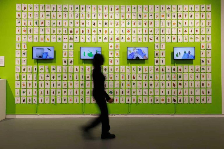 Design in Dialogue: Ying Han’s Approach to Design