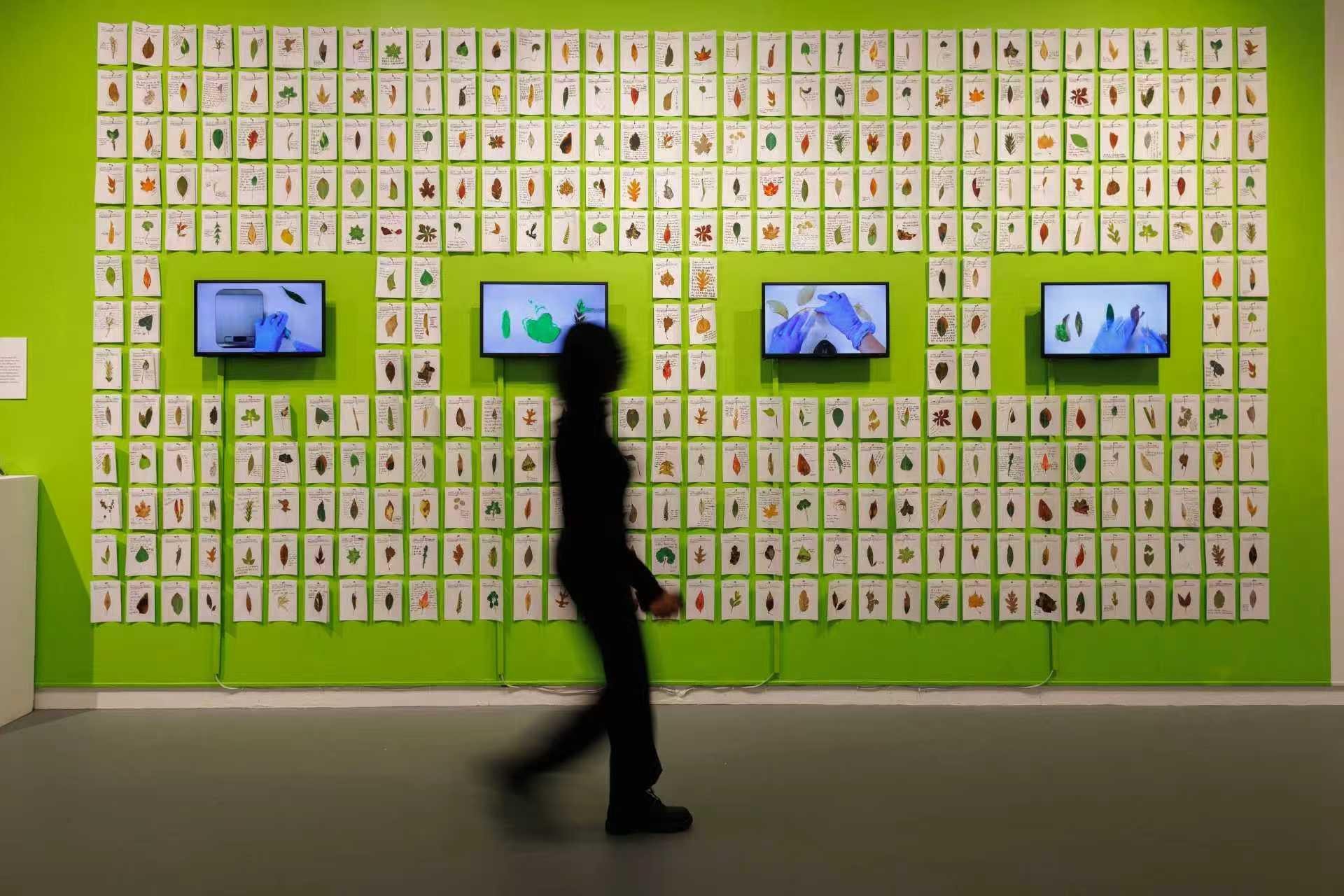 Design in Dialogue: Ying Han’s Approach to Design