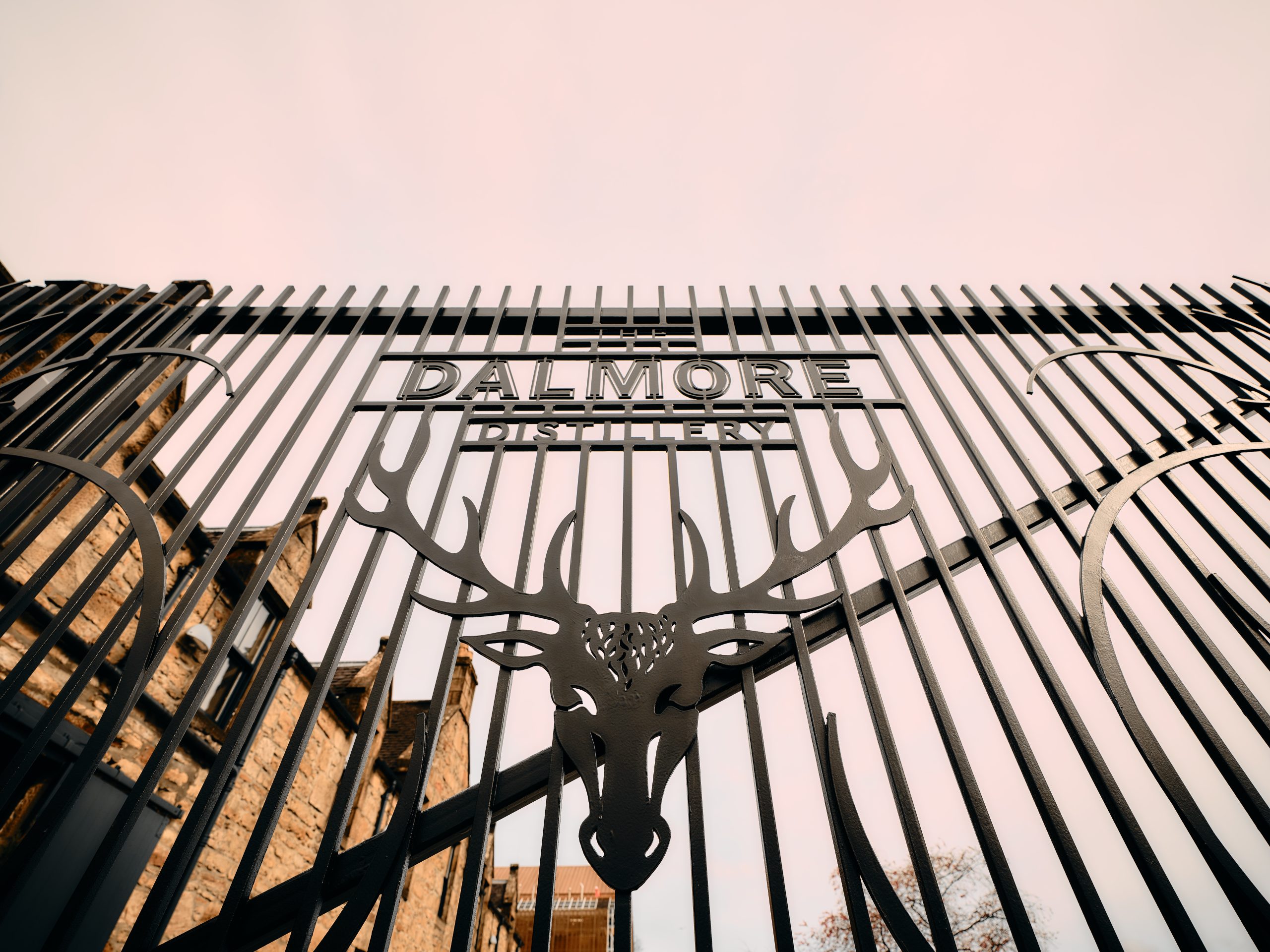 The Dalmore