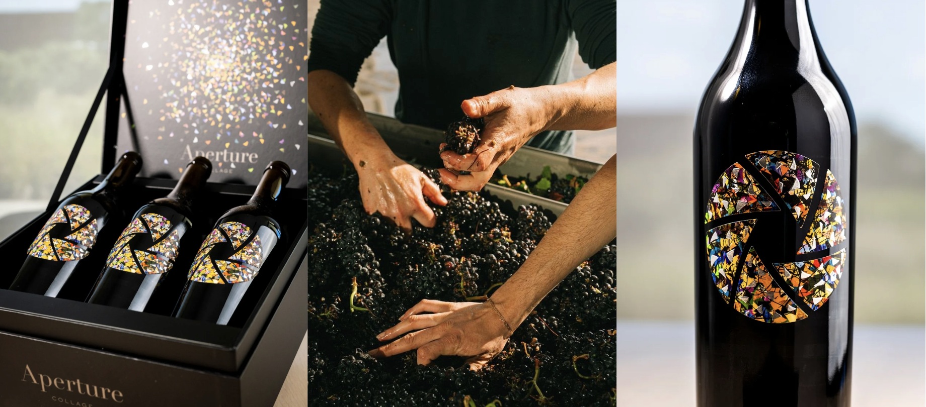 Aperture Cellars Revives Collage 2023, Jesse Katz’s Most Artistic Sonoma Cabernet Yet