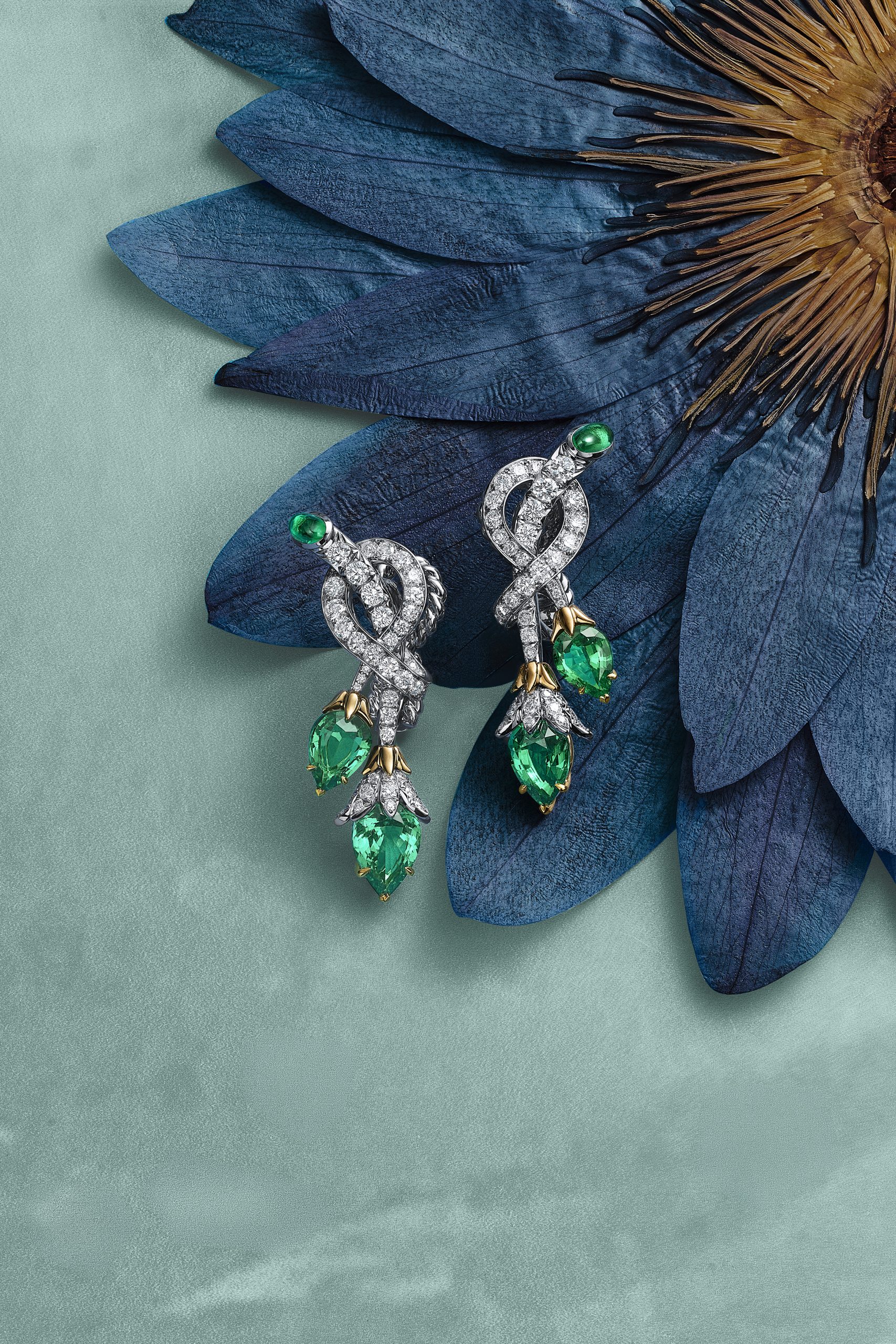 Tiffany & Co. Unveils Blue Book 2026: Hidden Garden — An Extraordinary High Jewelry Collection