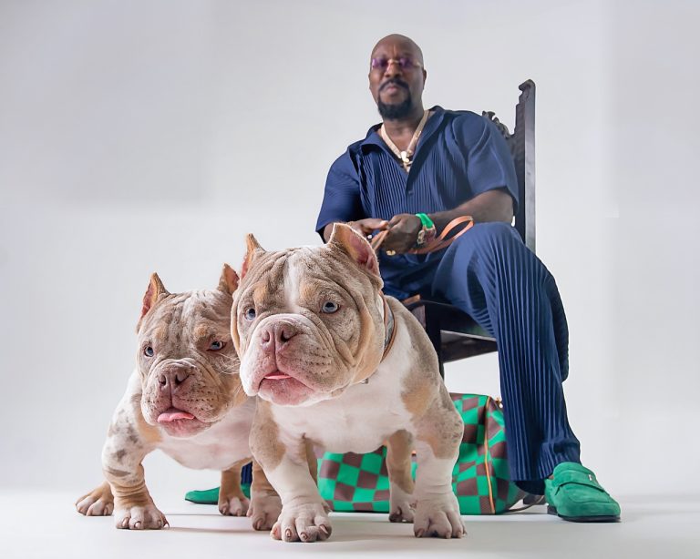 Demetrius A. Matthews Turns a Lifetime of Vision Into a Bold Cultural Statement With BULLY LIFESTYLE: A Maxima...