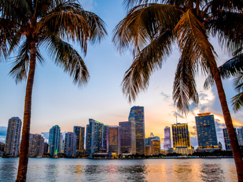 The Haute Miami July Calendar: World Cup Watch Parties, Wellness Rituals, and Art Installations