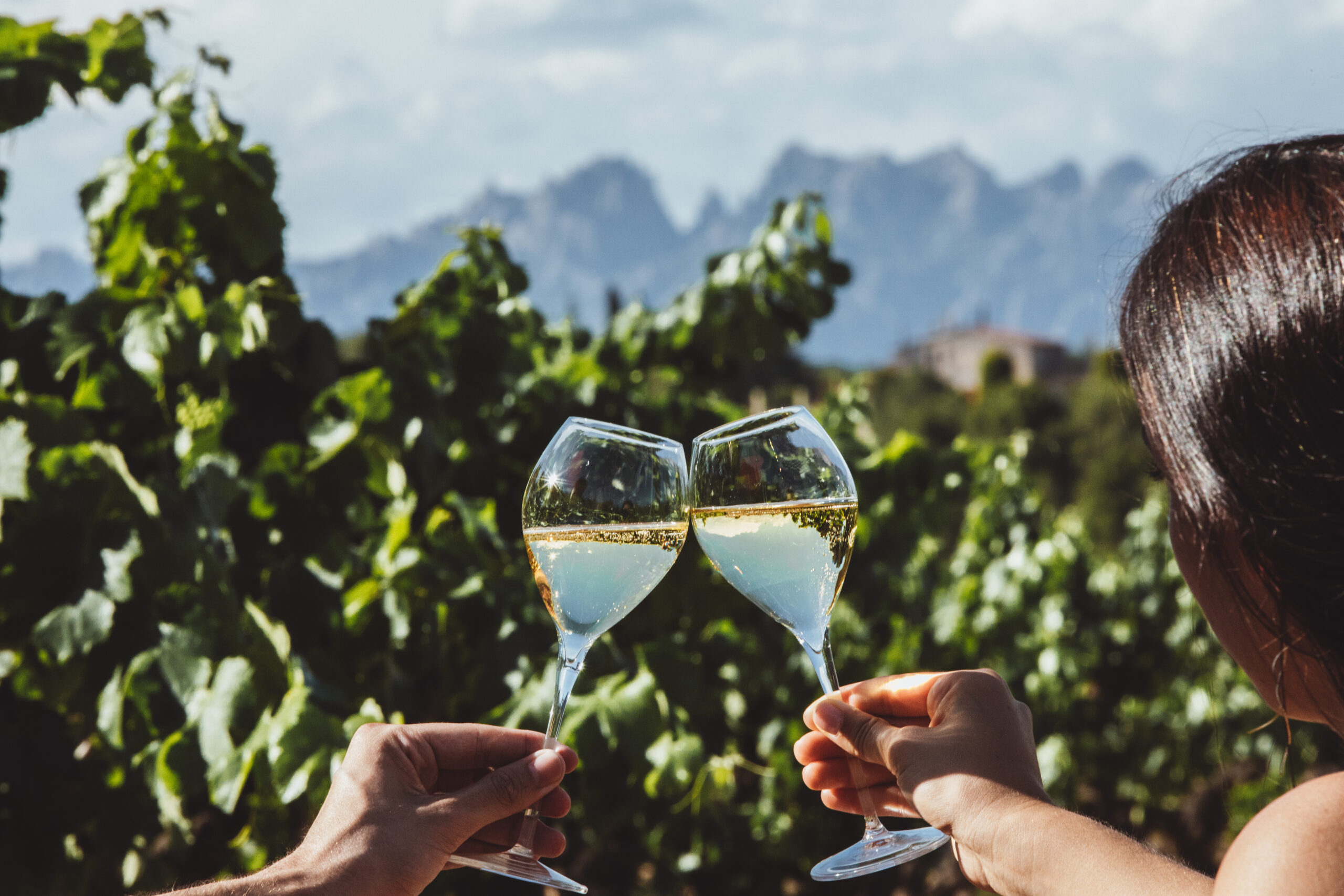 A toast to D O Cava shared among the vineyards - Inside Cava’s Best-Kept Secret: The 15 Wines At The Top Of The Category