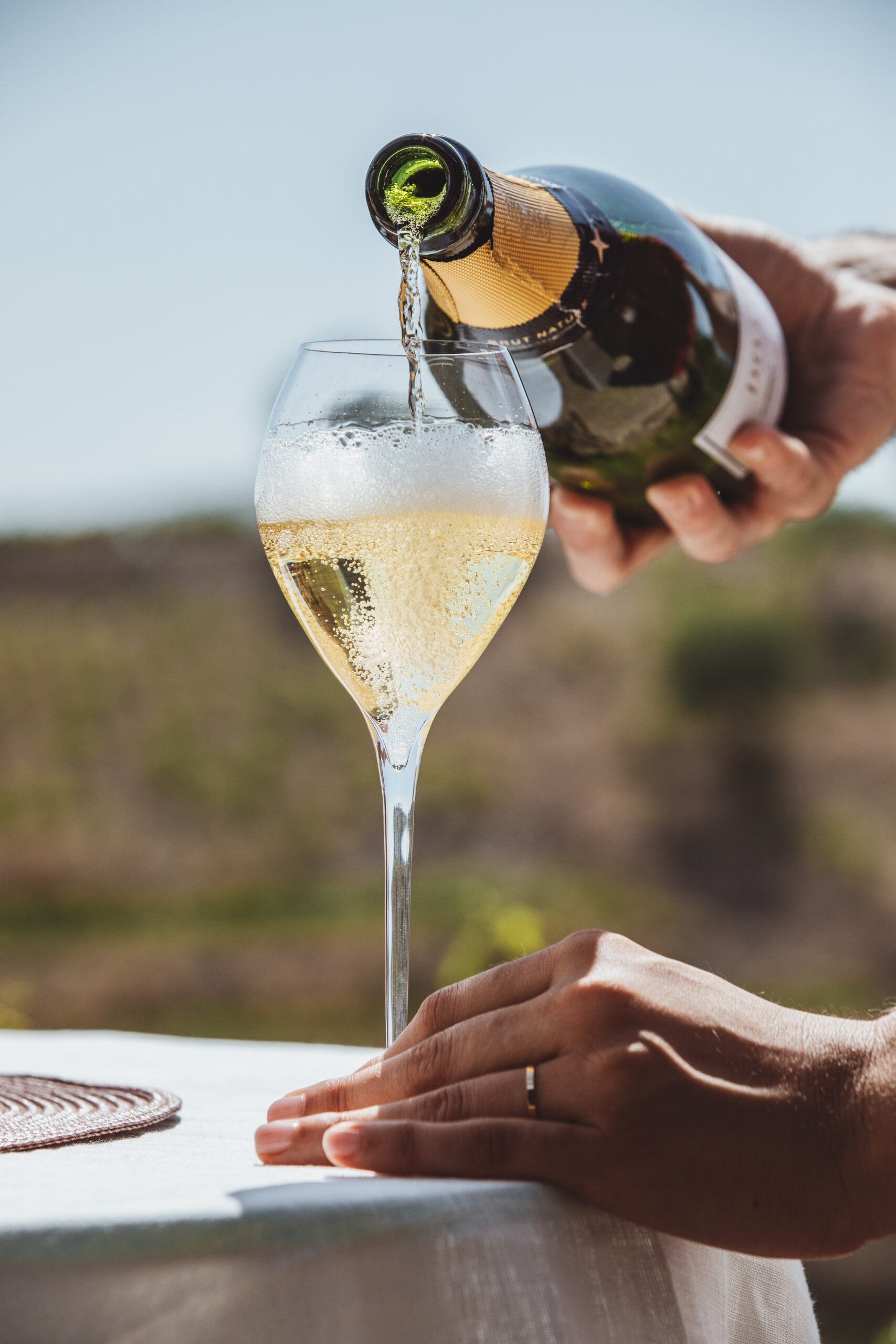 Cava tasting