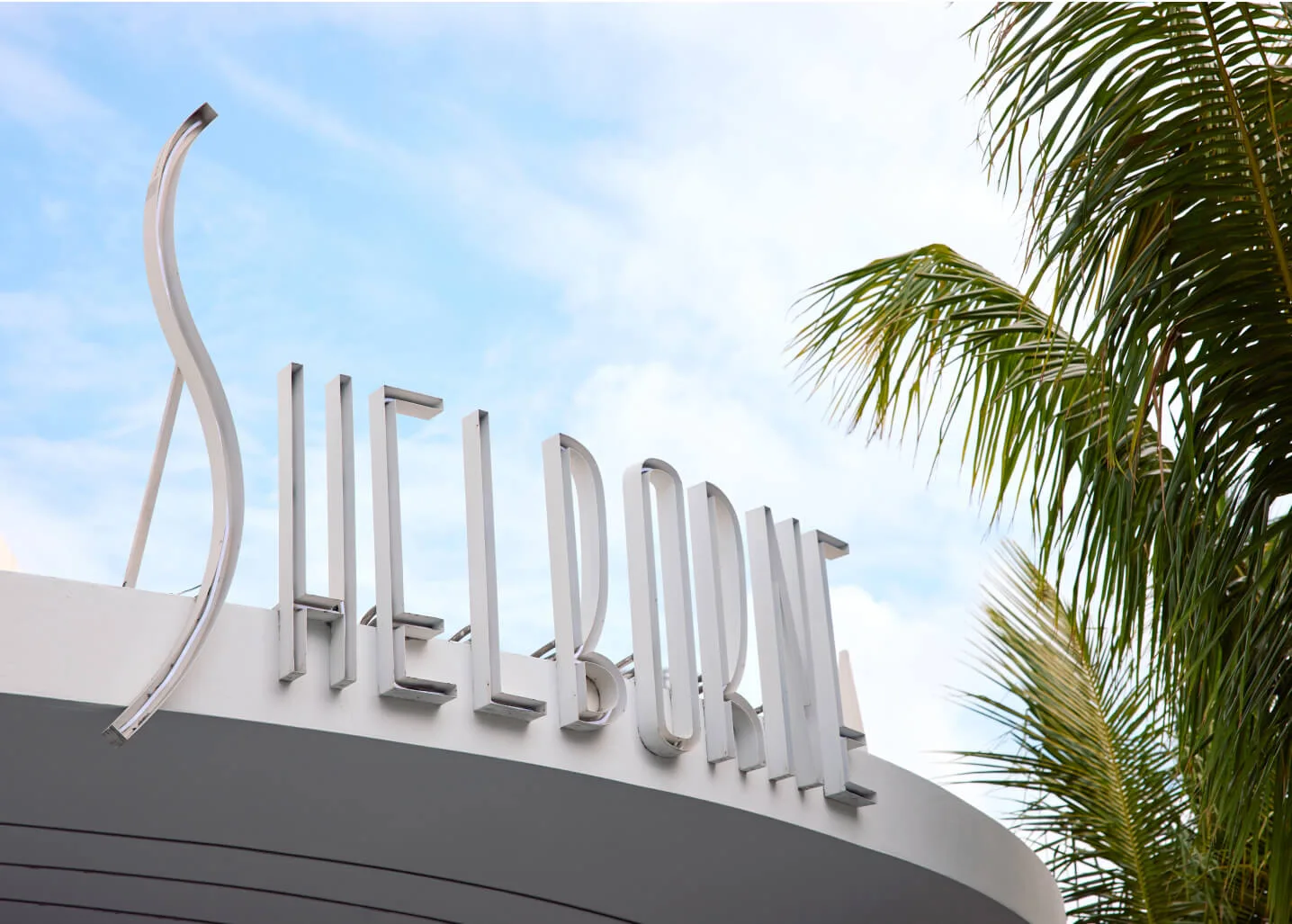 about shel - Inside Miami’s New Wellness Identity