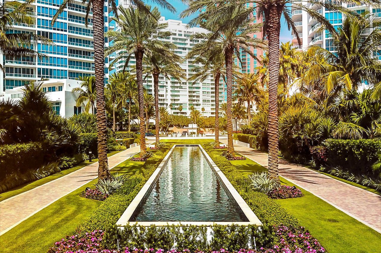 Palm-lined reflecting pool walkway at Continuum Miami Beach
