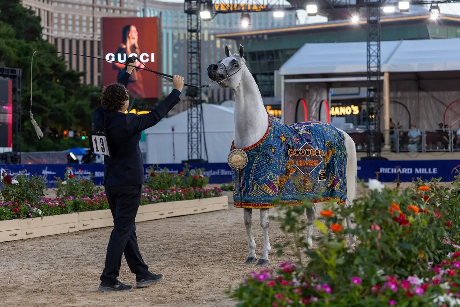 Global Champions Arabians Tour Brings 2026 Americas Final to Las Vegas