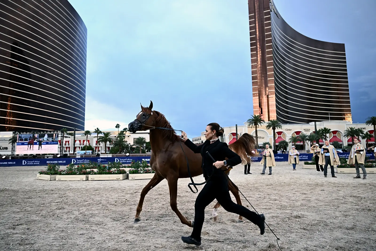 Global Champions Arabians Tour Brings 2026 Americas Final to Las Vegas (photo 3)