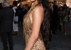 Lucas Museum Of Narrative Art Opening Night (photo 14)
