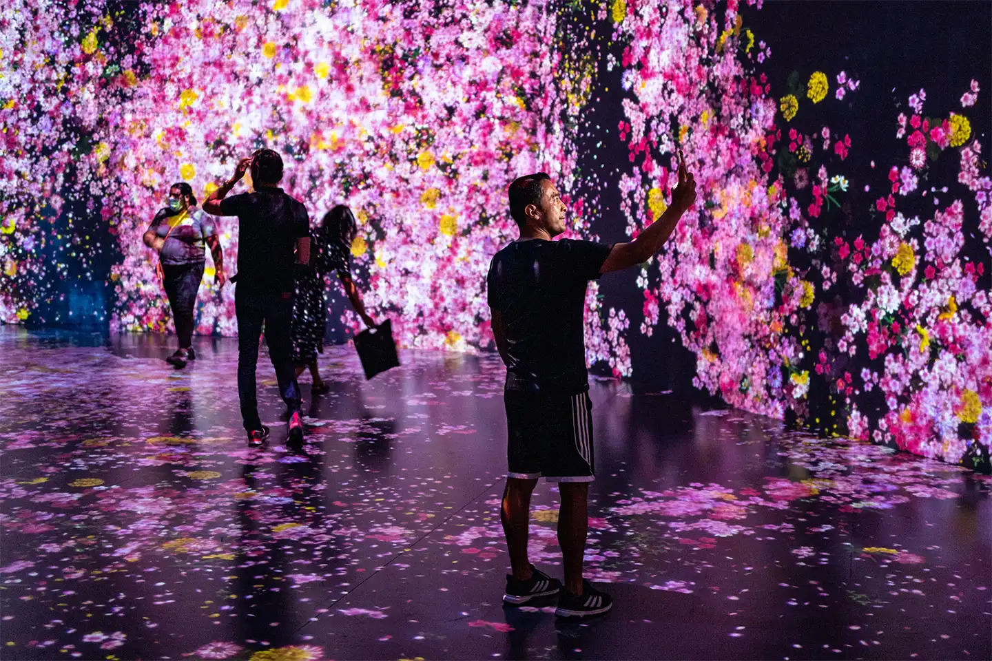 65ba565daa465c7bfeefc3de superblue miami teamlab visitor guide - The Best Miami Museums Worth an Entire Afternoon