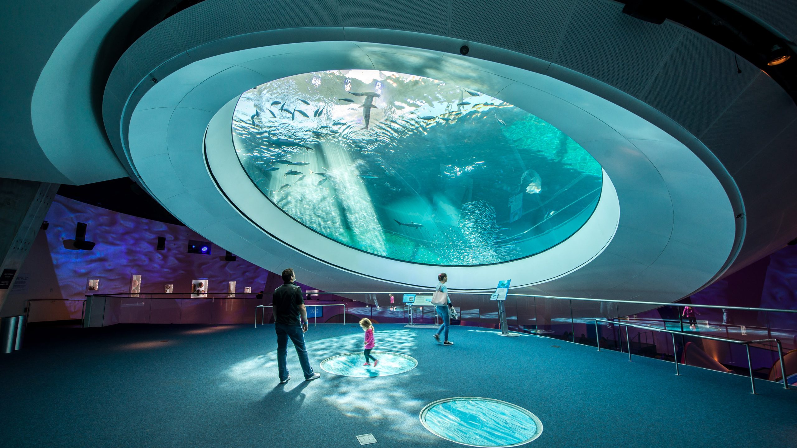 The Best Miami Museums Worth an Entire Afternoon (photo 7)