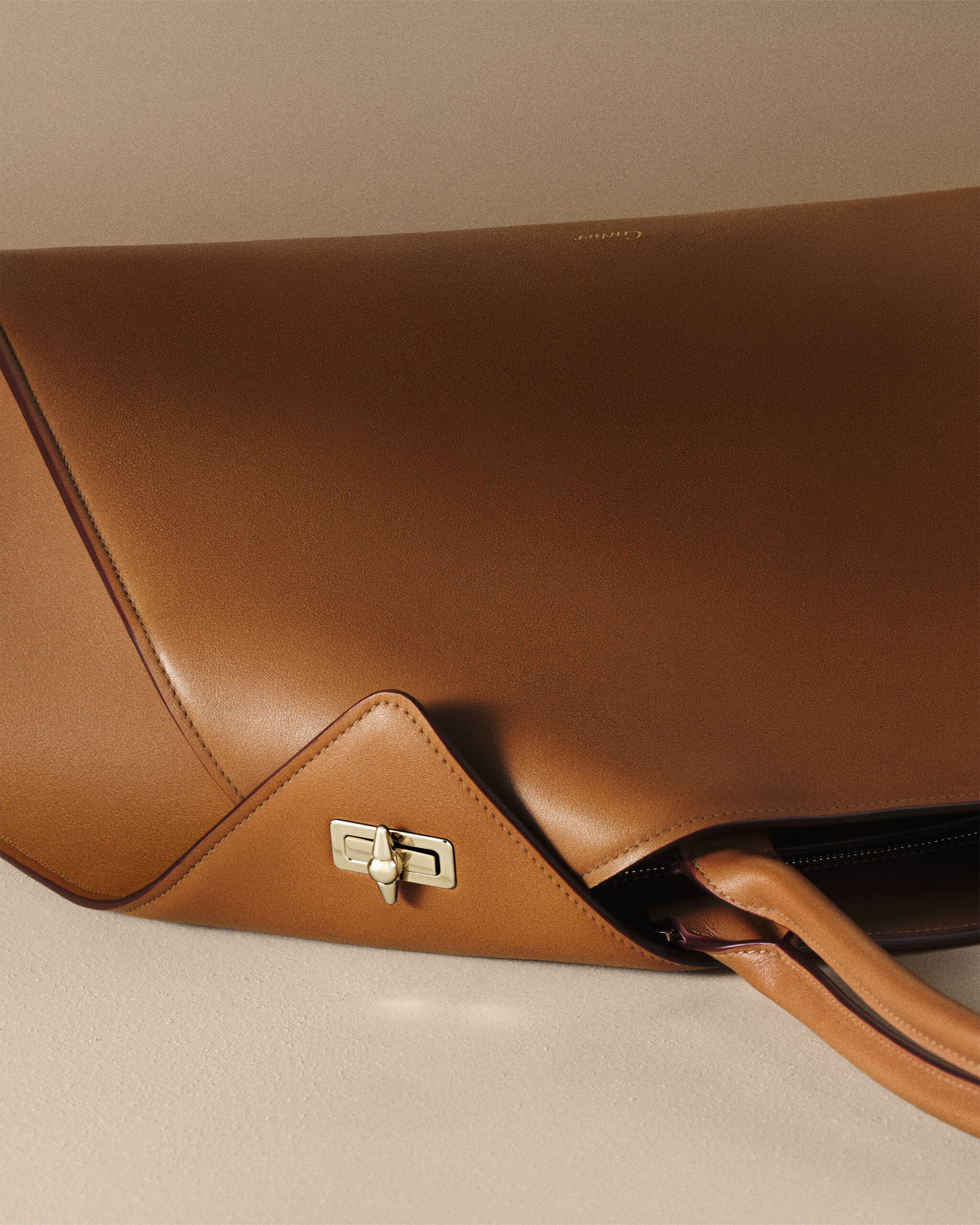 Introducing the Clash de Cartier Bag: The Handbag That Was Designed Like a Piece of Jewelry (photo 3)