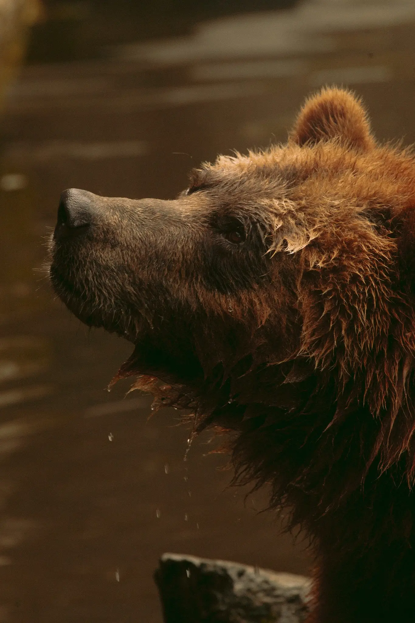 Photos Courtesy of Sam Avery Photography 2 - One Booking, Three Landscapes: How Bumble Expeditions Packs Alaska Into A Single Day