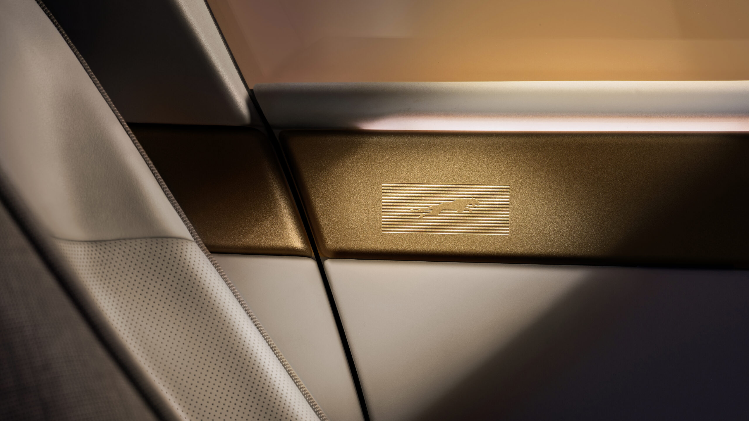 Jaguar (photo 7)