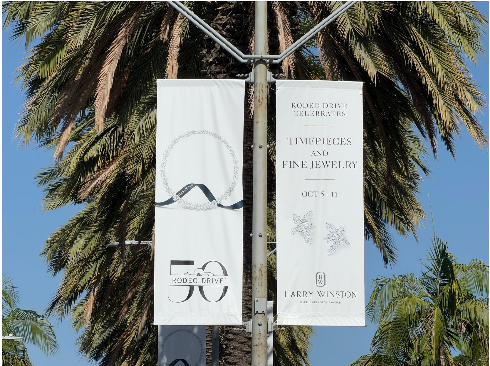 Rodeo Drive Committee