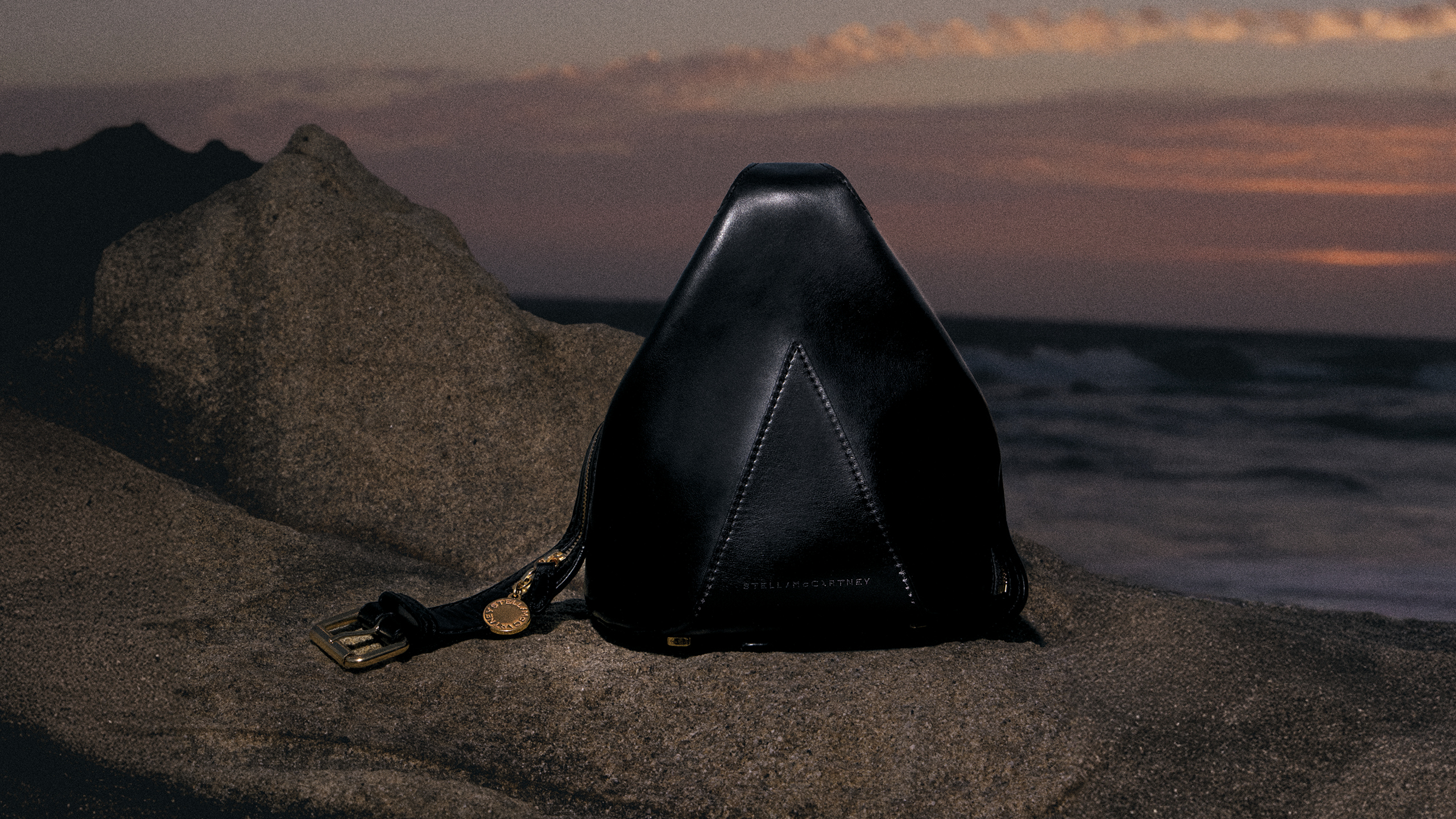 Stella McCartney x Kylie Jenner (photo 7)