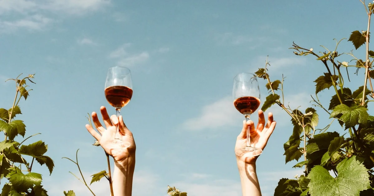 Glasses of wine raised among the vines at Channing Daughters Winery, one of the best wineries North Fork Hamptons