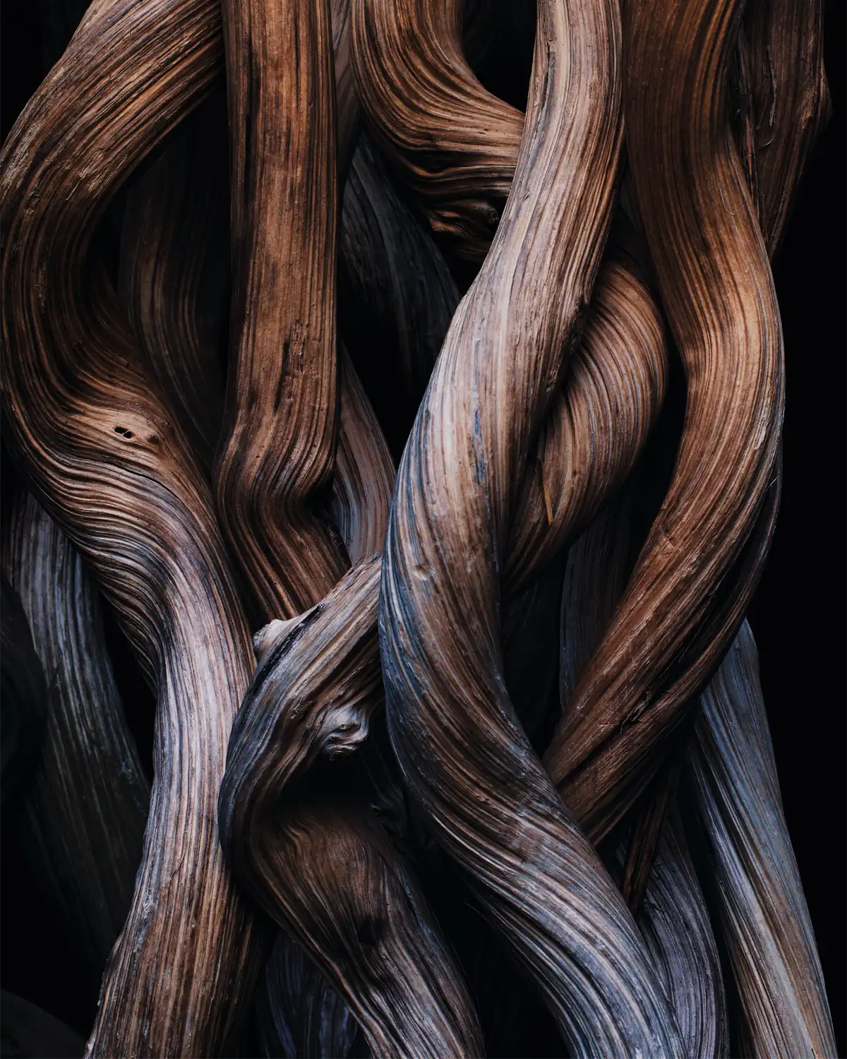 Dior Sauvage Extrait ingredient: vetiver