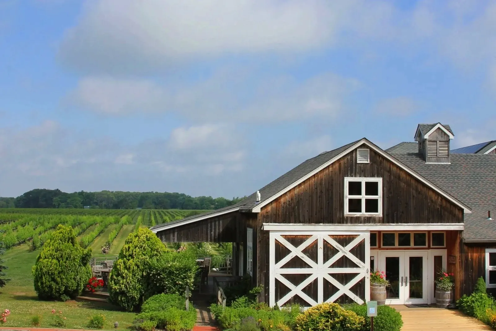 The barn-style winery and vines at Paumanok Vineyards in Aquebogue, one of the best wineries North Fork Hamptons