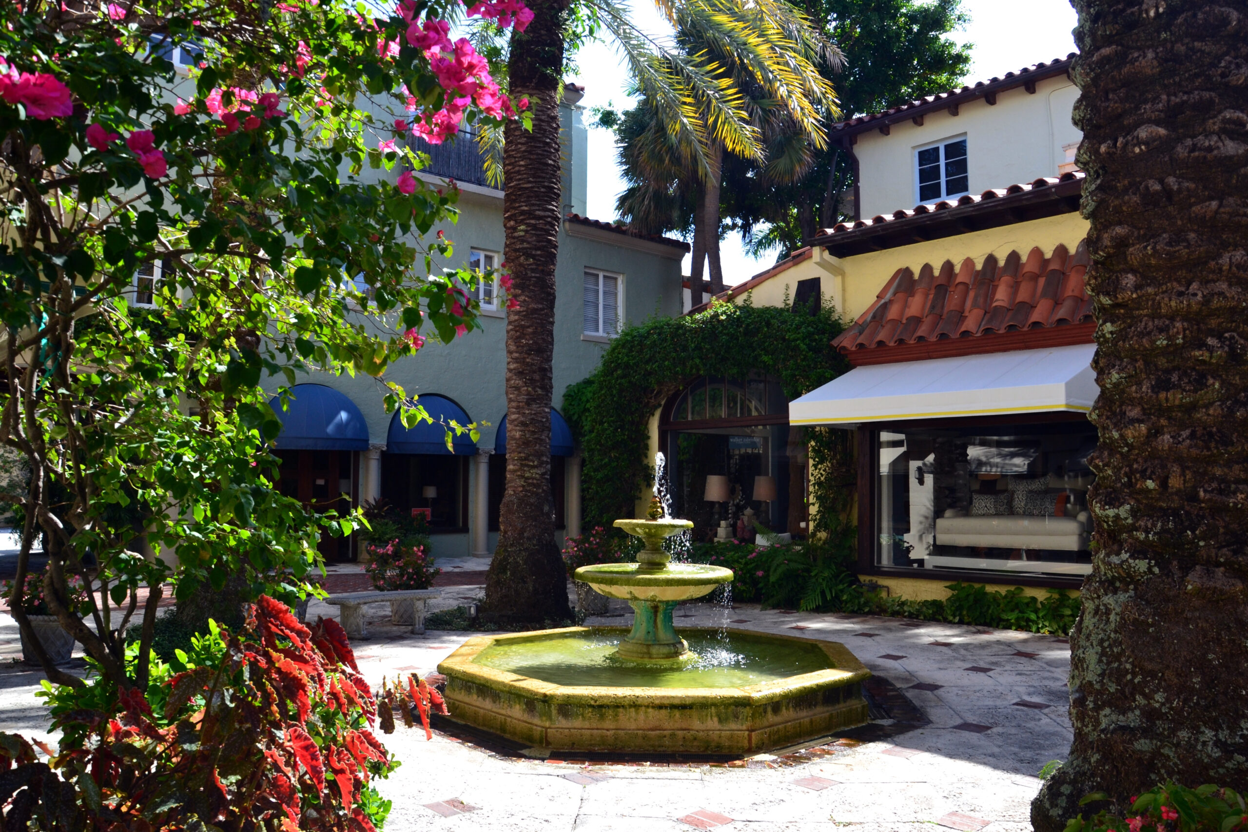 The Haute Guide to Worth Avenue (photo 2)